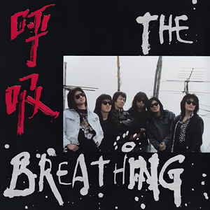 高清91传媒视频在线观看
