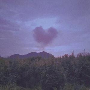 高清91传媒视频在线观看
